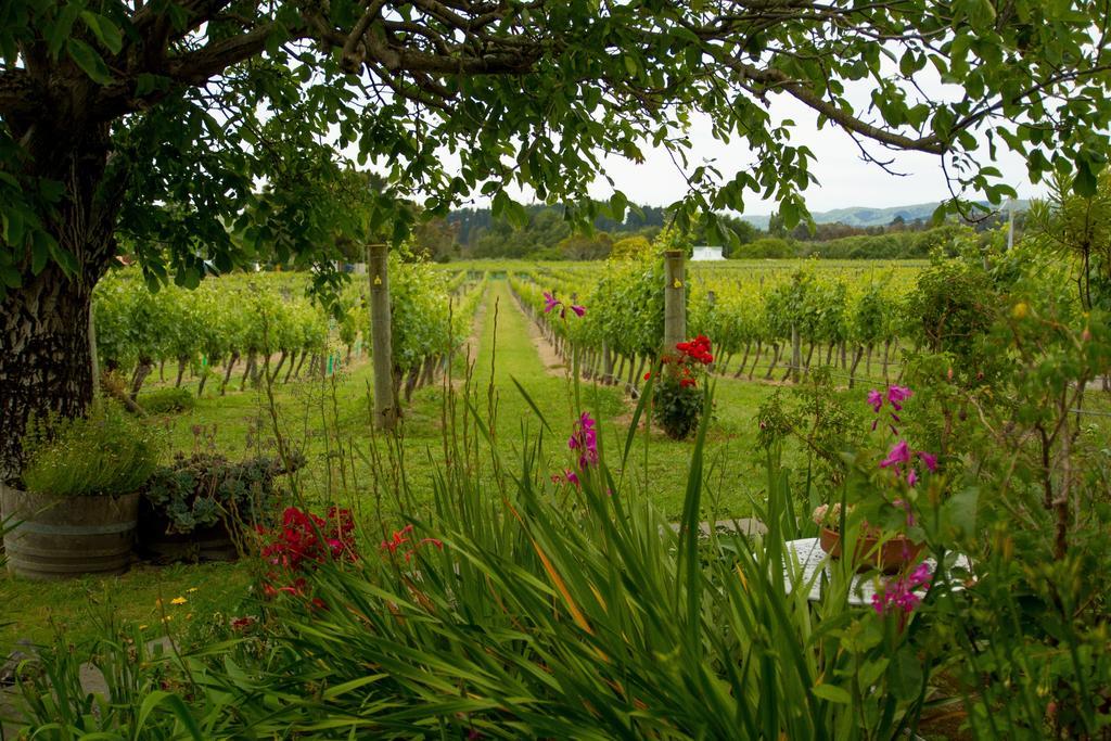 Margrain Vineyard Villas Martinborough Kültér fotó